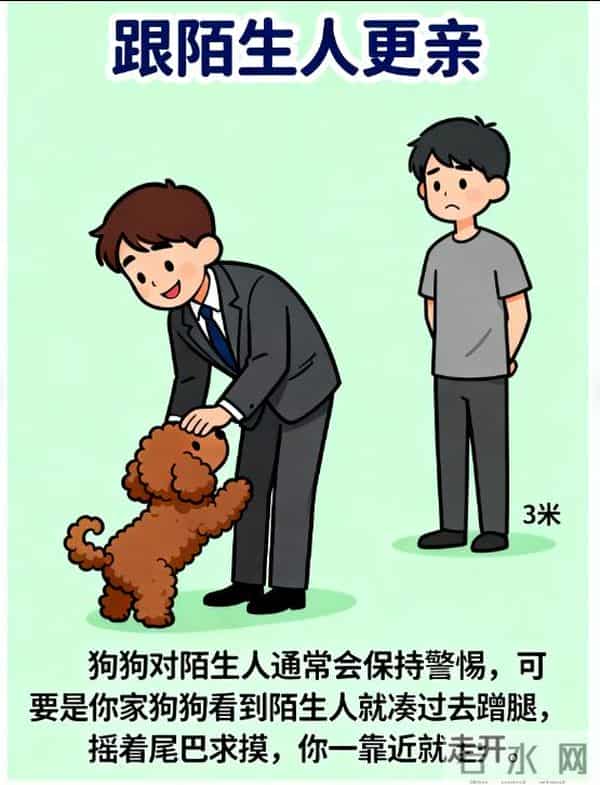 3斤小狗舔5斤大鱼被鱼尾抽翻