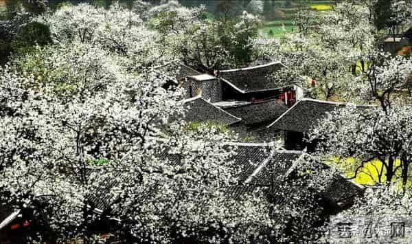 大学生送外卖赚1万多奖励自己游中国