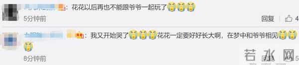 袁花花再也无法陪袁隆平听汇报了