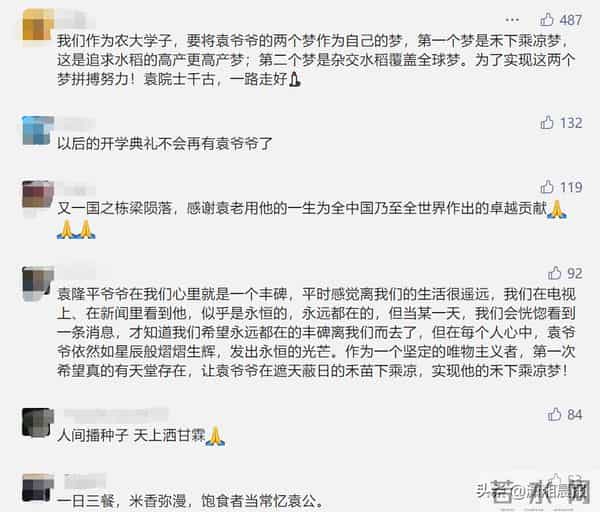 湖南农大发文悼念名誉校长袁隆平