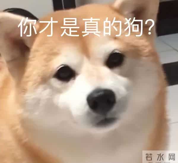 2岁女孩把蛇干当玩具吓跑妈妈