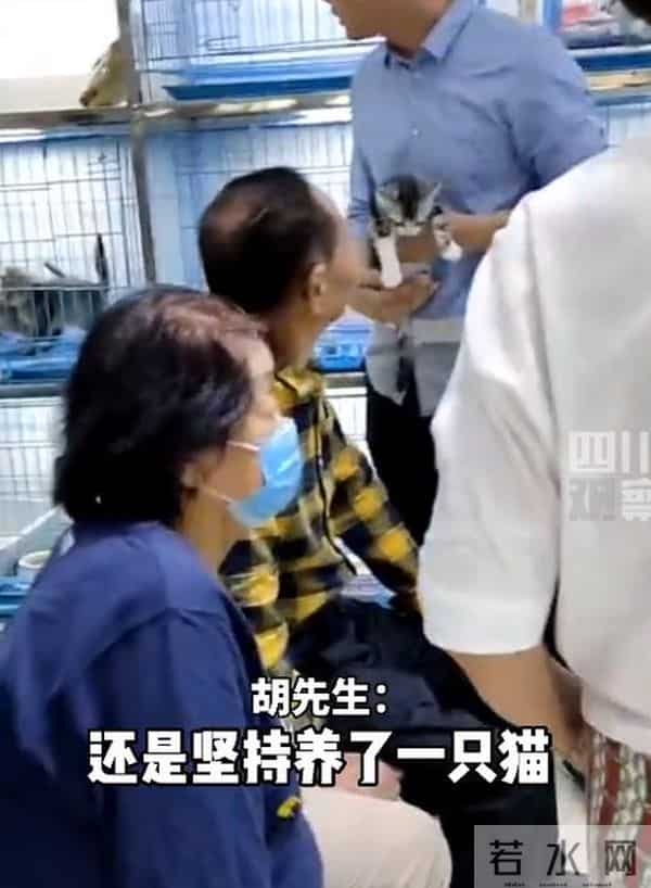 袁花花再也无法陪袁隆平听汇报了