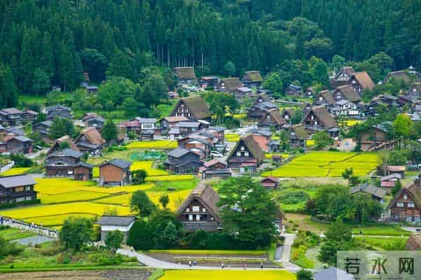 日本街头熊出没