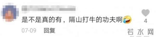 物理老师隔空打下5只易拉罐