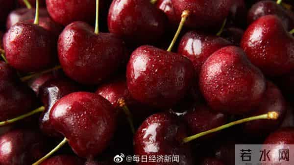 吴尊友回应车厘子等进口水果怎么吃