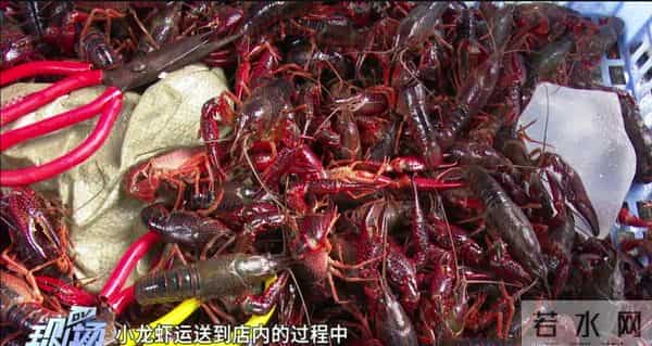 男子团购10斤小龙虾称重仅5斤