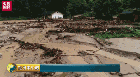 暴雨冲走养殖户百万元中华鲟鱼