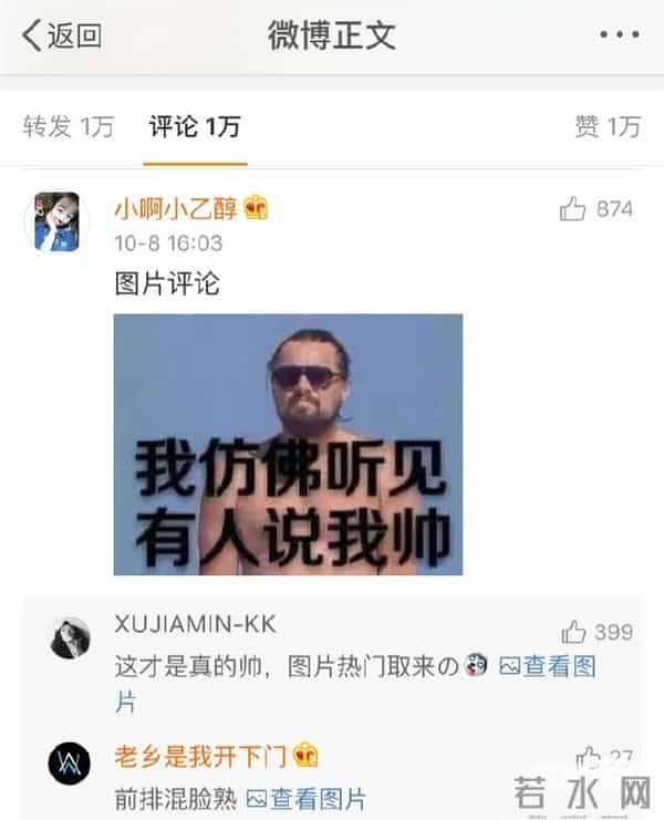 莱昂纳多开微博