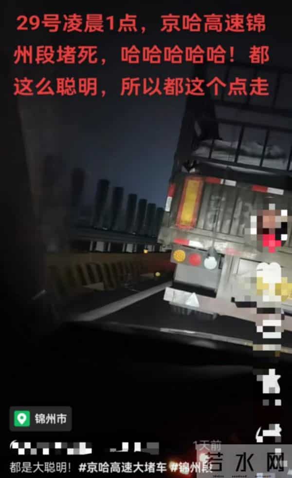 国庆出行车主高速上遛狗打球