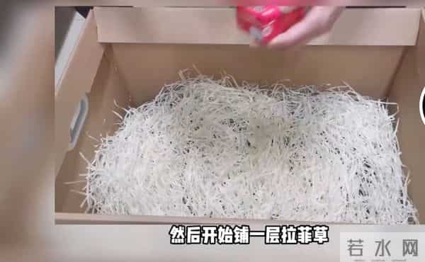 女生收到男友礼物打开全是拉菲草