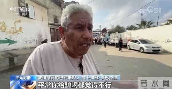 加沙孩子被迫喝驴都不喝的水