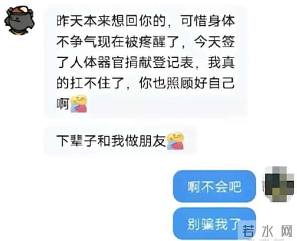 模型玩家去世母亲继承了遗志