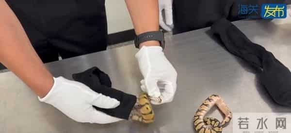 女子隔离到豪华套房