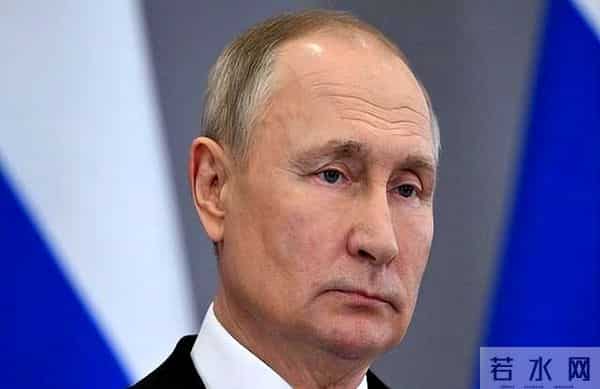 两象打架一象中间劝和