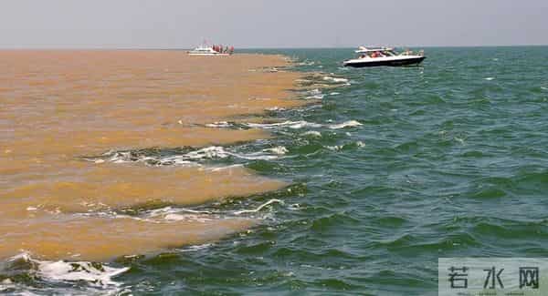 山东景区霸气公告-看不到景观退款