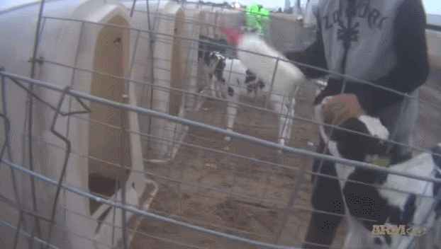 乌国内抵制可口可乐