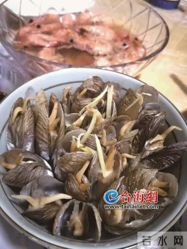 象拔蚌是什么梗
