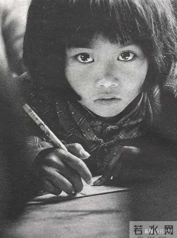 老伴走后第2天浙大老教师又去捡垃圾