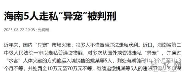 女子隔离到豪华套房