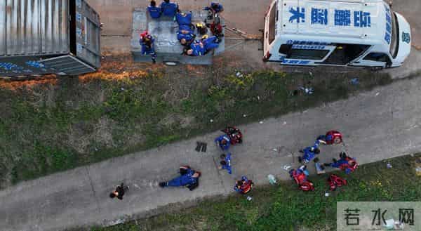 洞庭湖决堤后动物们水中求生