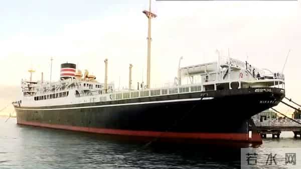 日本近海出现密密麻麻鱼类尸体