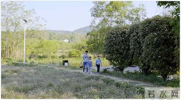 女子种地老公辞职支持