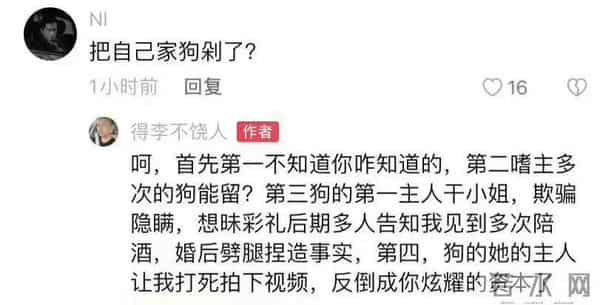 柯基被砍 女子-丈夫说坐牢也不离婚