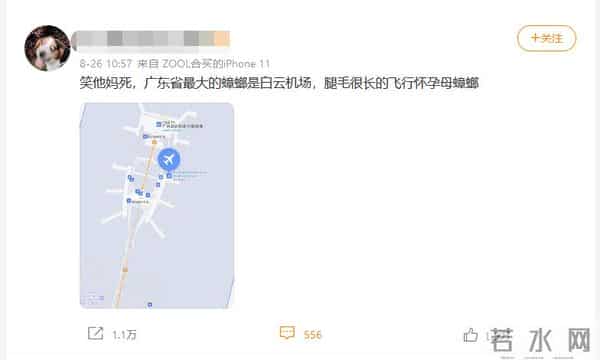 白云机场是最大蟑螂