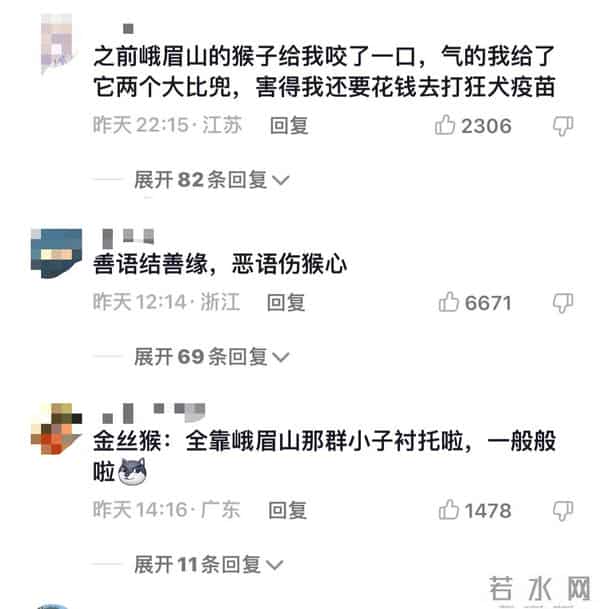 金丝猴坐路边礼貌接过游客苹果