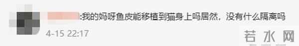 女子花2万为猫移植鱼皮被网暴