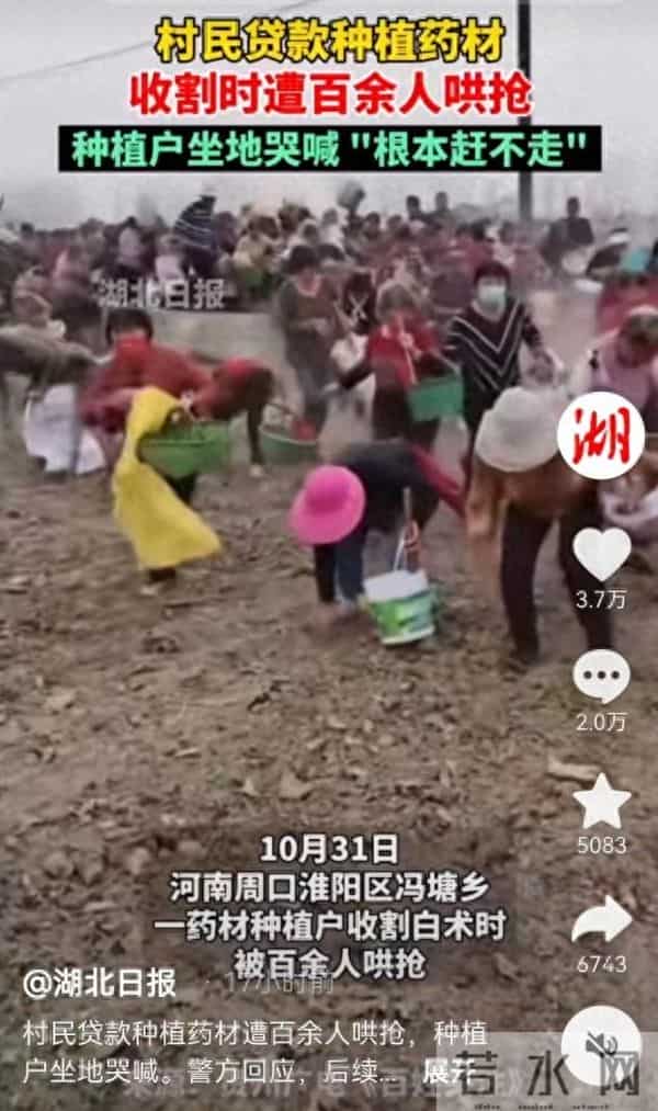 河南被抢药材基本追回 损失约3万