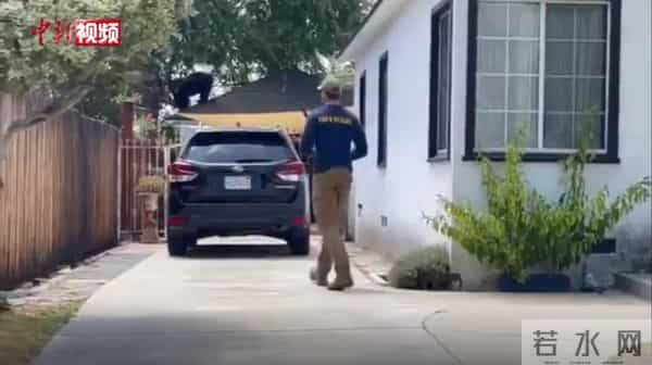 美国加州黑熊漫步居民区屋顶