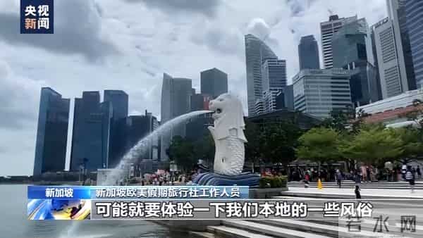 新西兰首发团26000元1分钟售罄