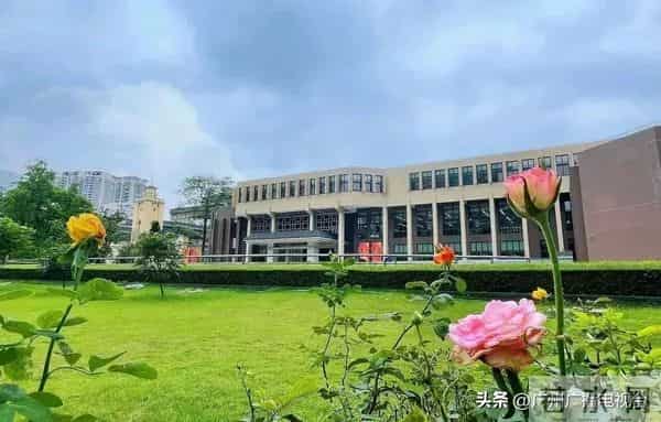 直击端午全国人从众