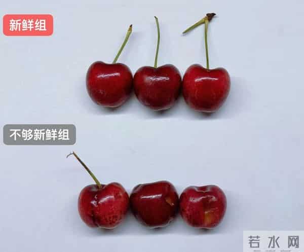 车厘子2J3J4J是什么意思