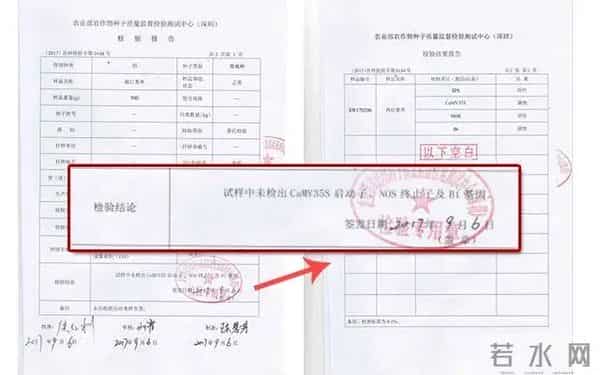 袁隆平念念不忘的海水稻新米要上市