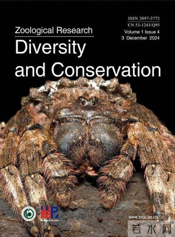 16首周杰伦的歌命名16个蜘蛛新种