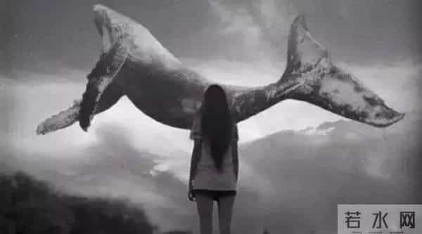 死亡游戏蓝鲸50个指令