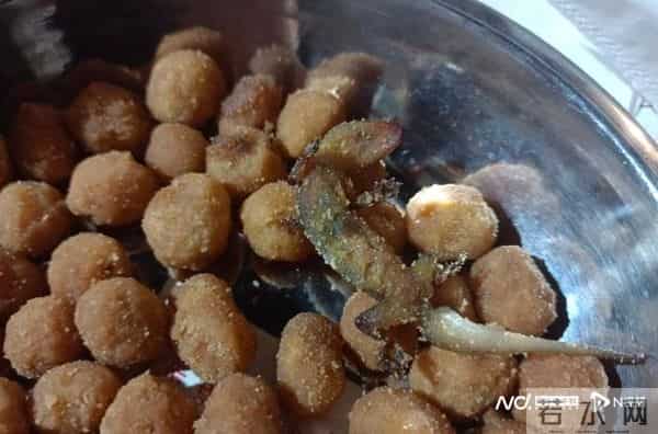 三只松鼠被曝吃出油炸壁虎