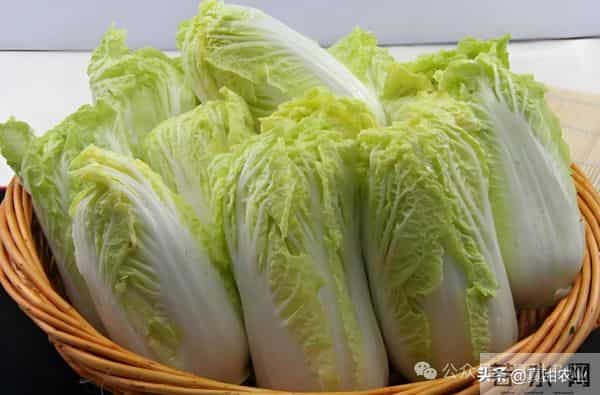 蔬菜价格高位运行态势仍会持续