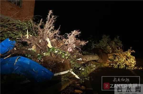 辽宁突发龙卷风 事发地在居民区附近