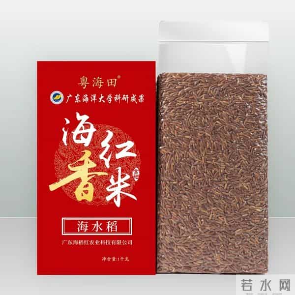 袁隆平念念不忘的海水稻新米要上市