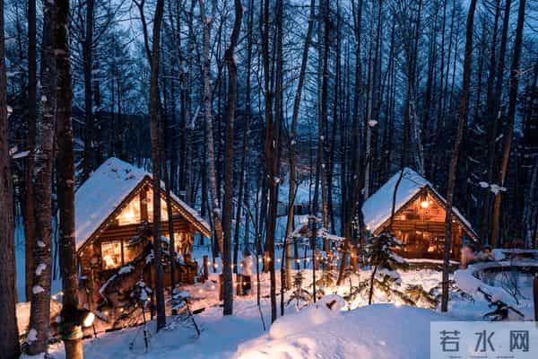 日本街头熊出没