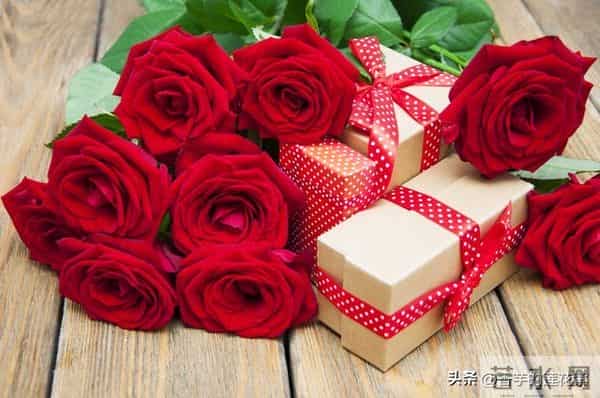 七朵玫瑰代表什么