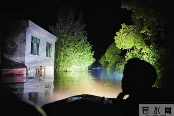 洞庭湖决堤后动物们水中求生