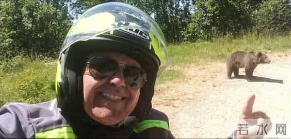 罗马尼亚女孩被熊扔下悬崖