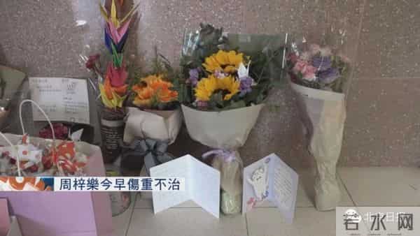 香港坠楼学生离世