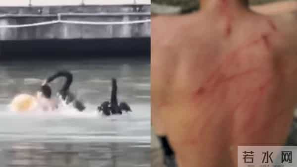 高管隐婚与女子同居