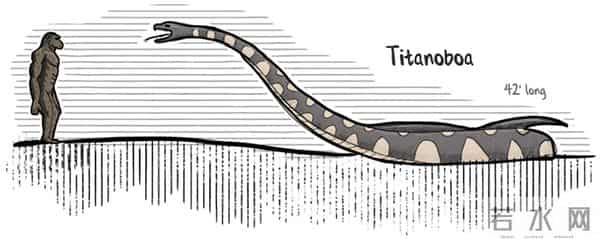 深圳工地现50斤蟒蛇