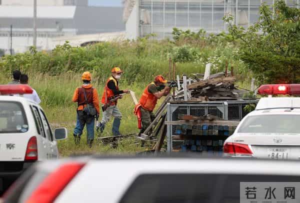 日本街头熊出没